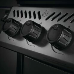 Napoleon Freestyle 365, 3 Hauptbrenner, Graphit 16 Napoleon Freestyle 365, 3 Hauptbrenner, Graphit -BROIL KING Verkäufe napoleon freestyle 365 3 hauptbrenner graphit 2f1eb5625778b5d7f71403fa55cda22e