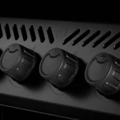 Napoleon Phantom Freestyle 425, Mattschwarz – Modell 2023 15 Napoleon Phantom Freestyle 425, Mattschwarz – Modell 2023 -BROIL KING Verkäufe napoleon phantom freestyle 425 mit edelstahl rosten und tuer mattschwarz f38064585154547b12e3052f4c30a7de