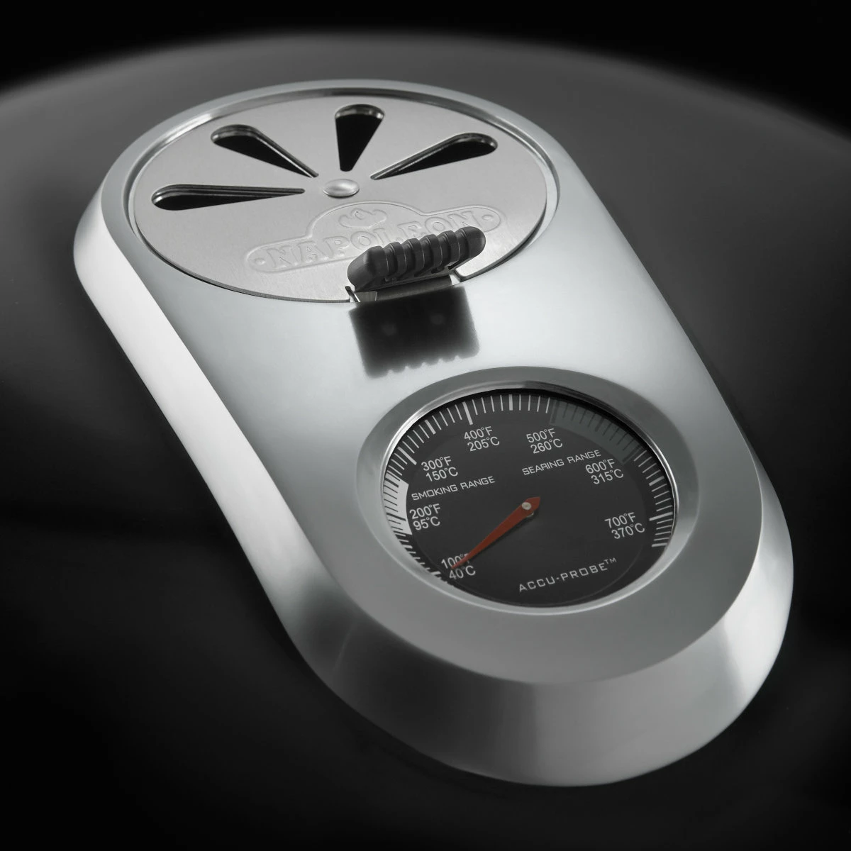 Napoleon Pro Charcoal Leg 3 Napoleon Pro Charcoal Leg – Bild 3