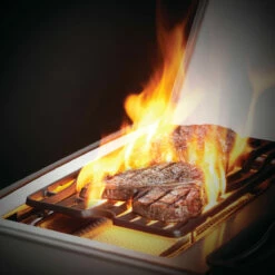 Titelseite 37 Napoleon Rogue SE 425, Edelstahl