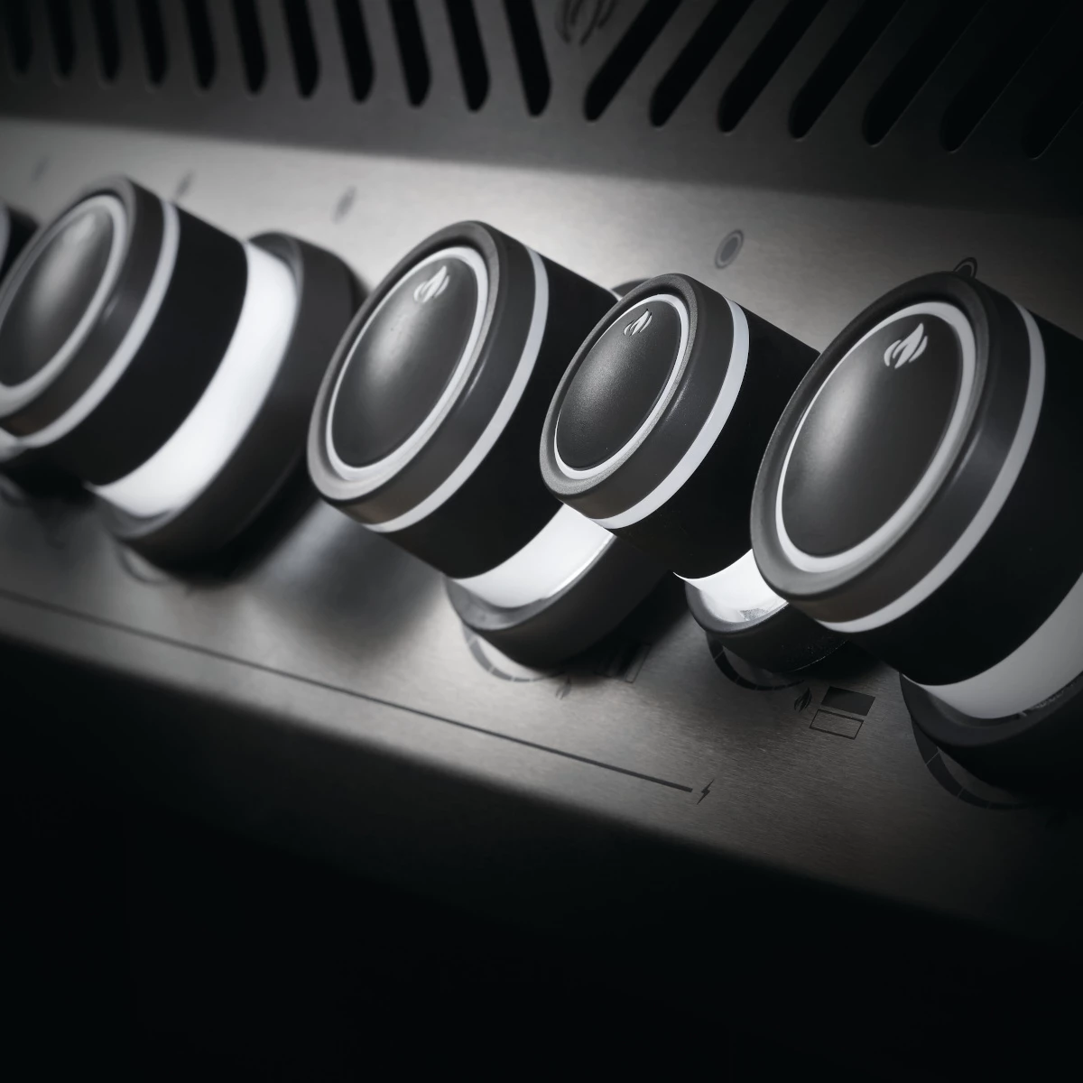 Napoleon Rogue SE 425, Edelstahl 3 Napoleon Rogue SE 425, Edelstahl – Bild 3