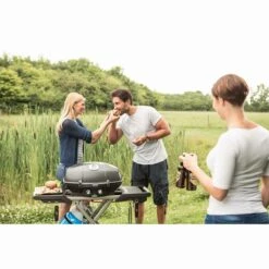 Titelseite -BROIL KING Verkäufe napoleon travelq pro285 mit klappbaren wagen gasgrill f6eb20d2165de58dbff84e98f1b459ec